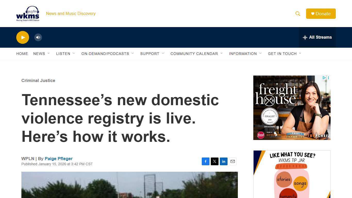 Tennessee’s new domestic violence registry is live. Here’s how it works. | WKMS